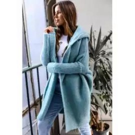 Hooded Long-sleeved Solid Color Woolen Coat